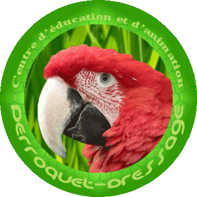 Logo de Perroquet-Dressage